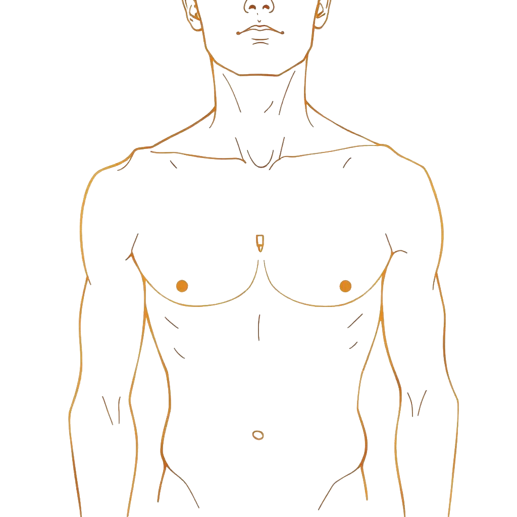 Ilustração do procedimento Tórax na Clínica Yodara